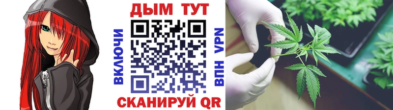 Бошки Шишки SATIVA & INDICA  KRAKEN как зайти  Михайлов 